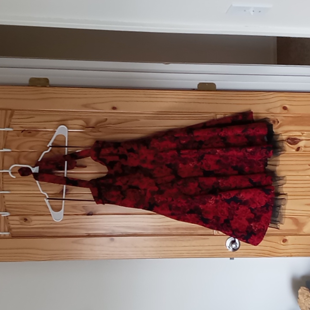 Red rose Hot Topic dress